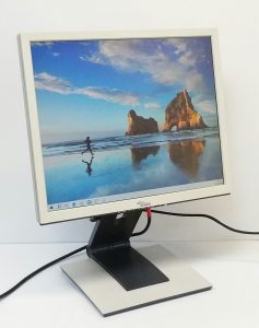 Fujitsu Siemens Computers SCENICVIEW P19-3P 19" LCD Color Monitor