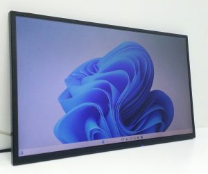 iiyama Prolite E2481HS-B1 E2481HS 24" DVI VGA Monitor