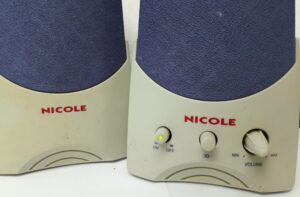 Nicole Desktop Speakers (Pair) - Image 5