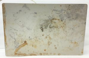 Stuart Stirrer Hotplate 5170 - Image 5