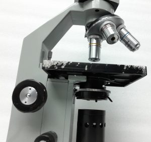 Paralux Microscope Optique de precision - Image 5