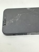 Apple 12