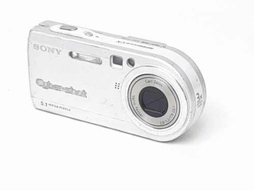 Sony Dsc-p100